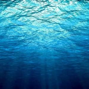 Meet your Posher, Zoe